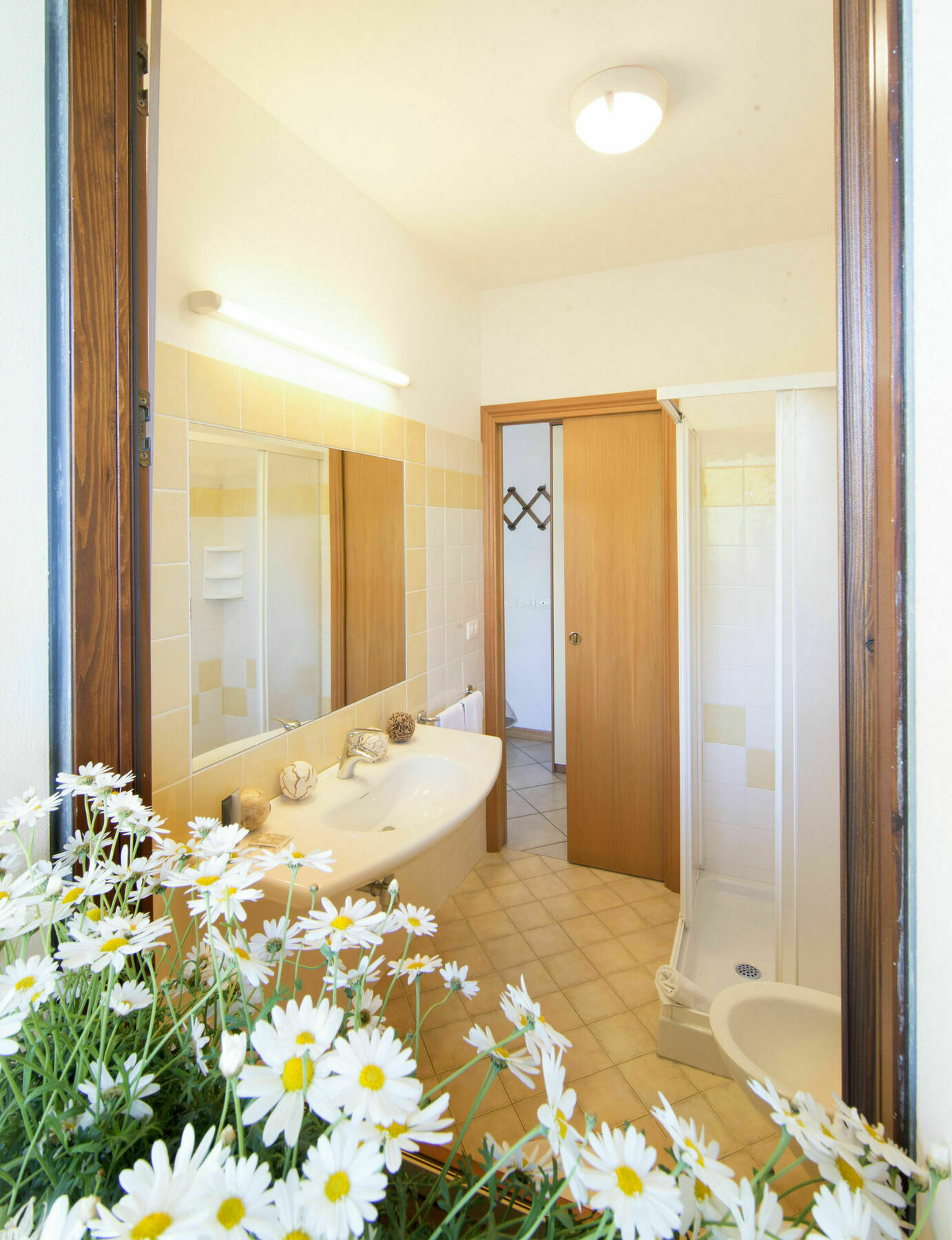 Aparthotel Pineta